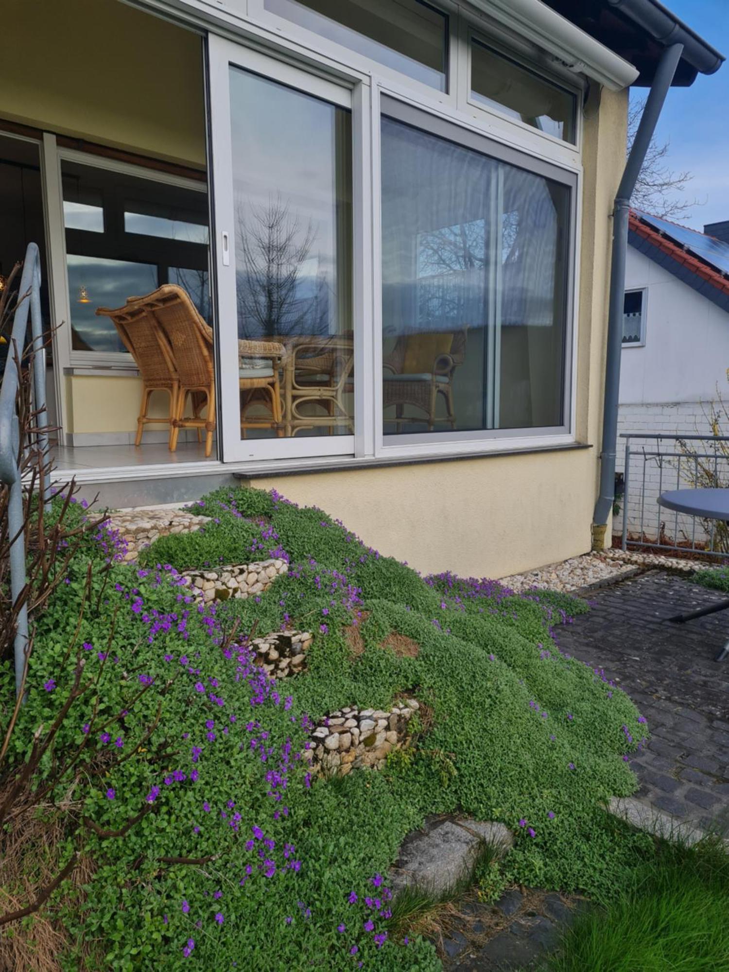 Ferienwohnung Im Rurtal Kreuzau Eksteriør billede
